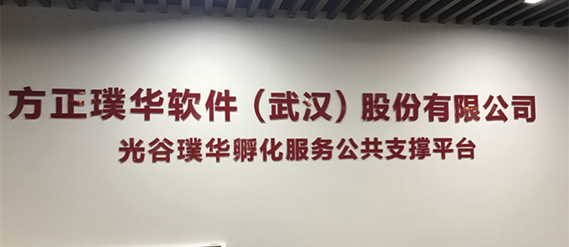 走出課堂，走進(jìn)企業(yè)—藍(lán)鷗武漢學(xué)子赴方正璞華參觀學(xué)習(xí)