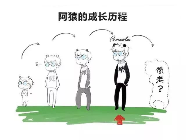  23歲學(xué)編程太遲？都這把年紀了，別瞎折騰了 
